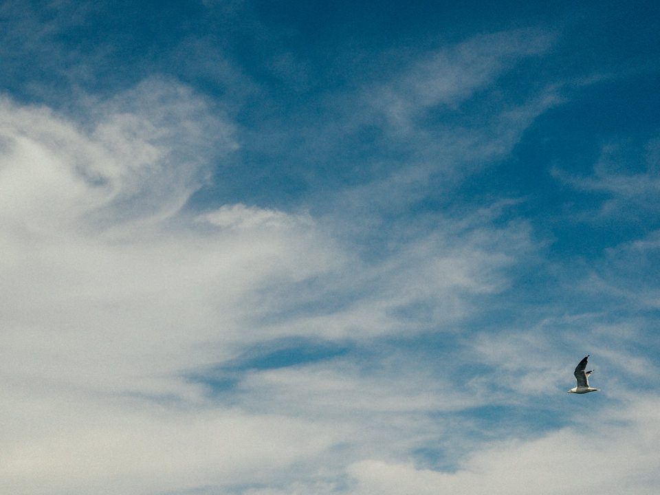 Rosario Resort Weddings: Amy and Frank's Fun and Frolic at Orcas Island (70)