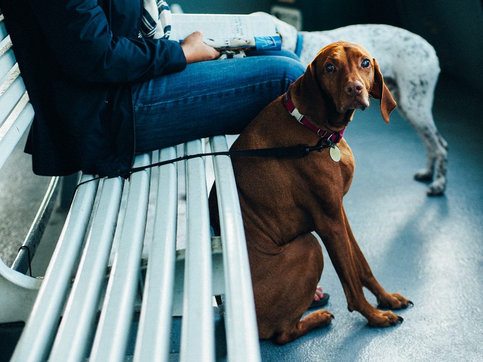 Rosario Resort Weddings: Amy and Frank's Fun and Frolic at Orcas Island (69)