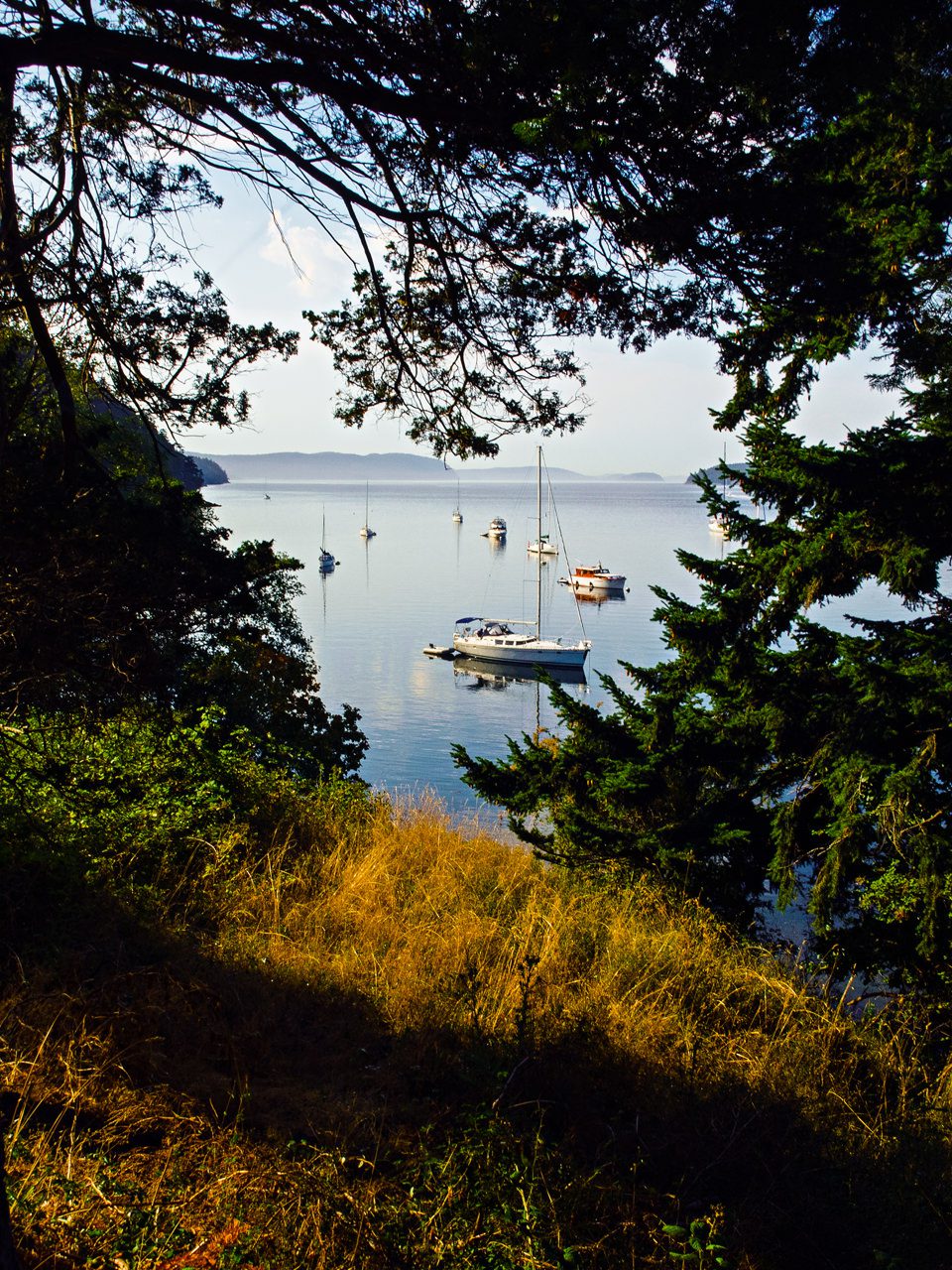 Rosario Resort Weddings: Amy and Frank's Fun and Frolic at Orcas Island (68)