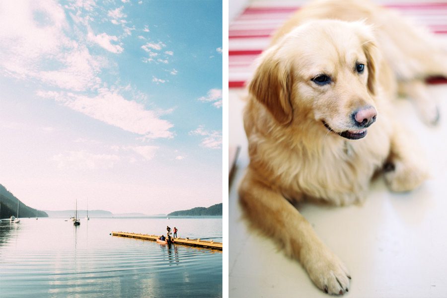 Rosario Resort Weddings: Amy and Frank's Fun and Frolic at Orcas Island (63)