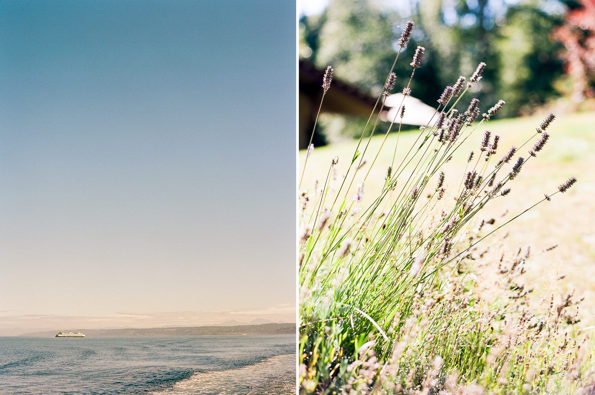 Kingston House weddings: Katherine and Graeme, Summer 2016