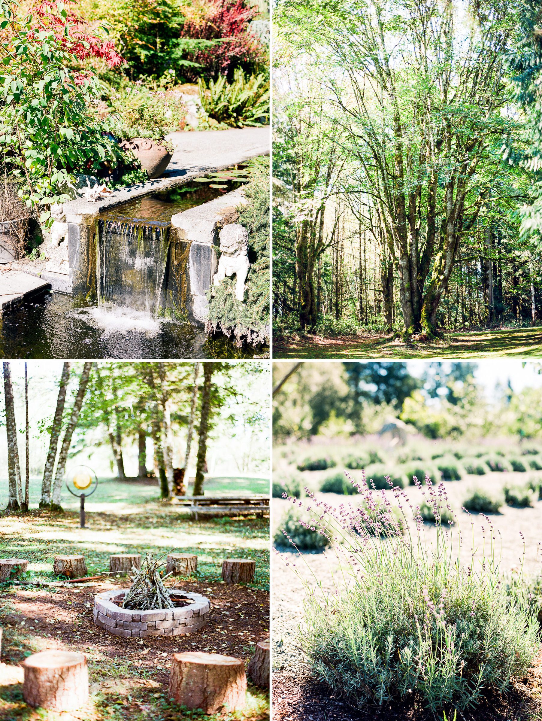 Kingston House weddings: Katherine and Graeme, Summer 2016