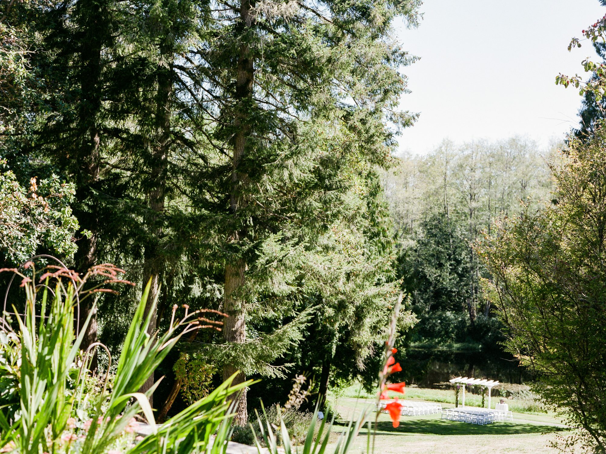 Kingston House weddings: Katherine and Graeme, Summer 2016