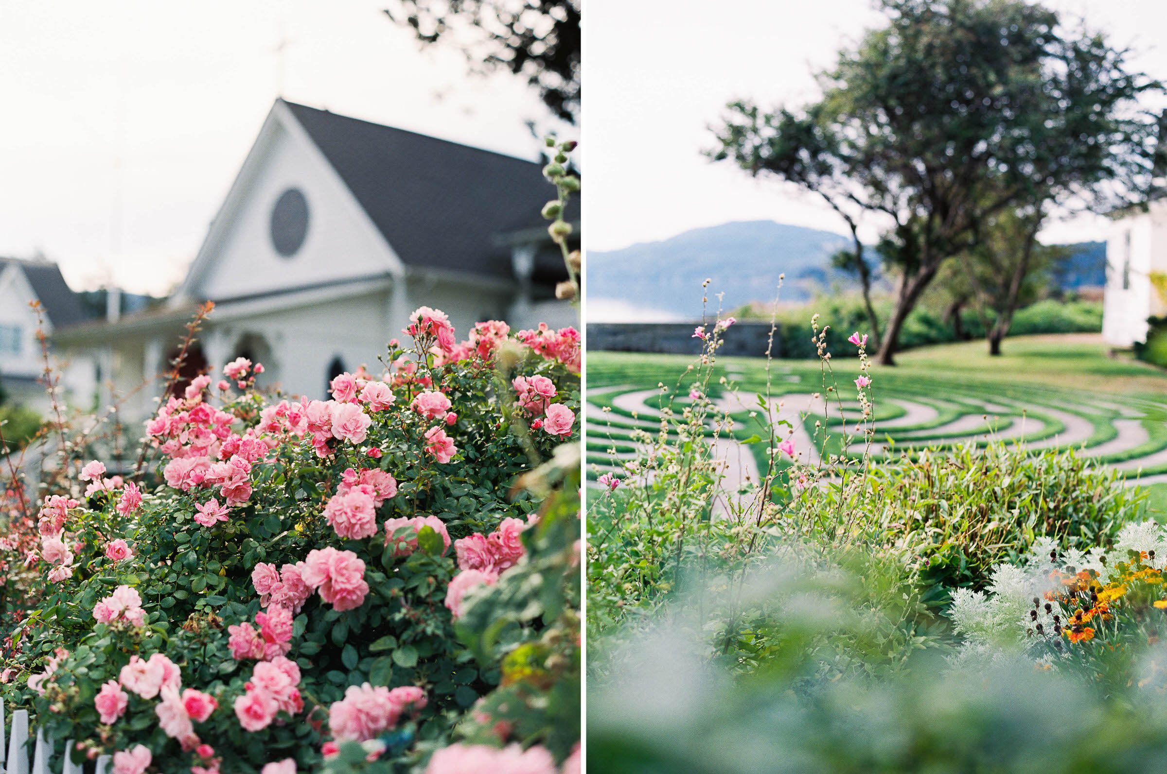 Camp Moran wedding on Orcas Island: Amelia and Adrian