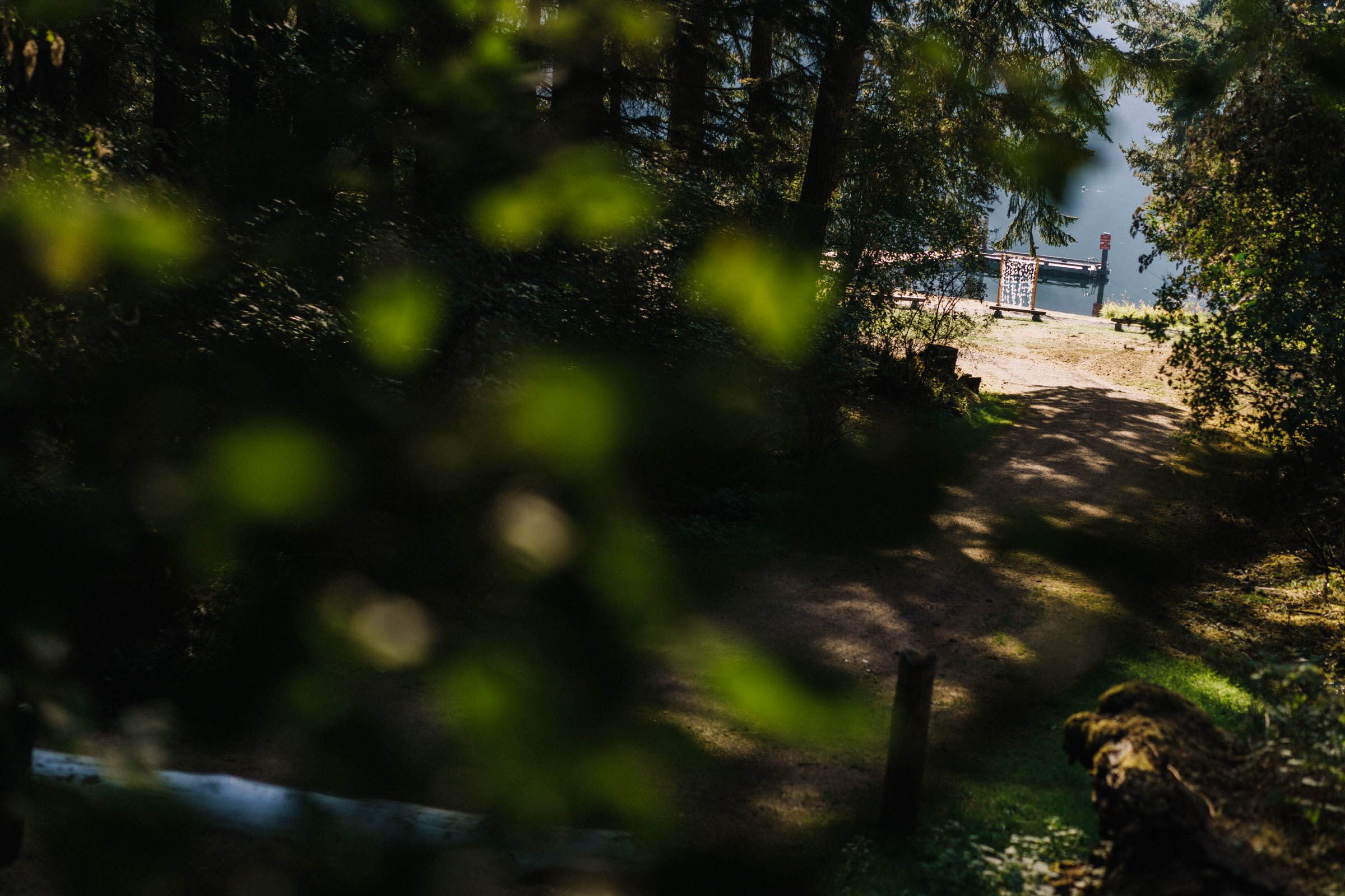 Camp Moran wedding on Orcas Island: Amelia and Adrian