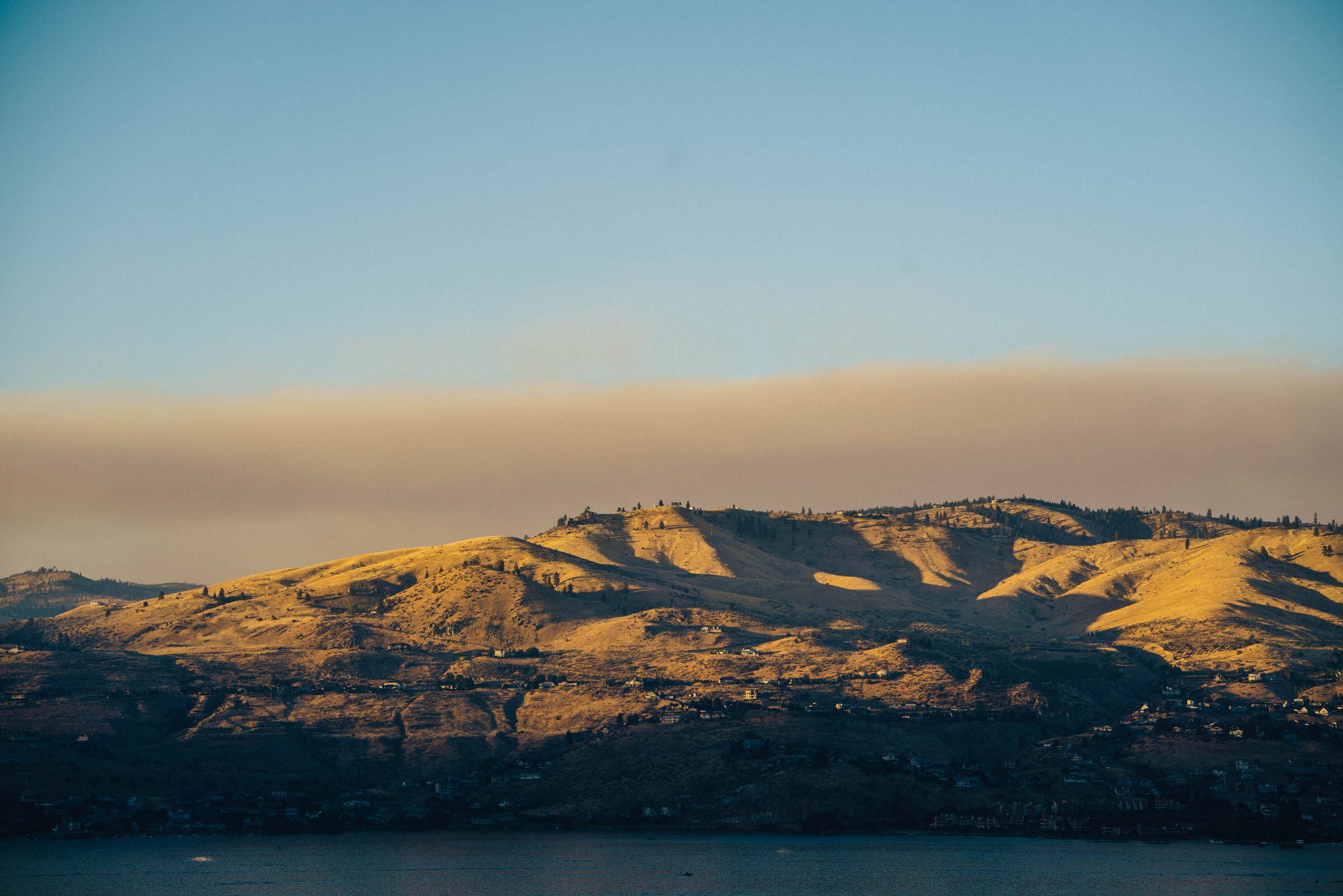 Romantic Tsillan Cellars Summer Wedding (38)