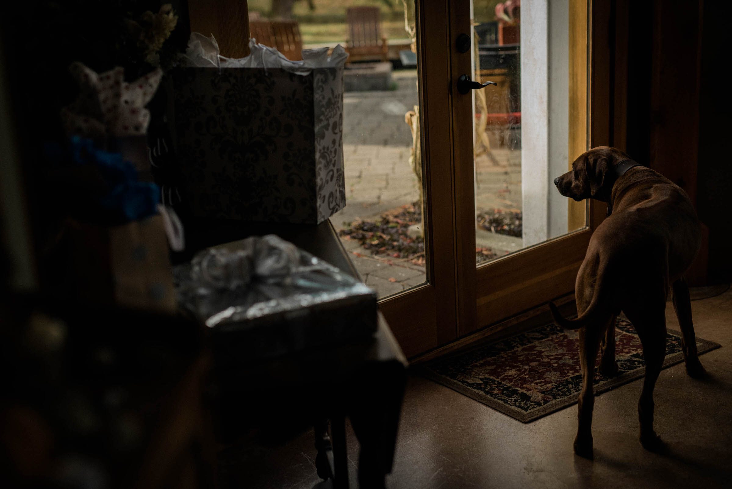 Romantic Whidbey Island weddings: Andrea and Rod (76)