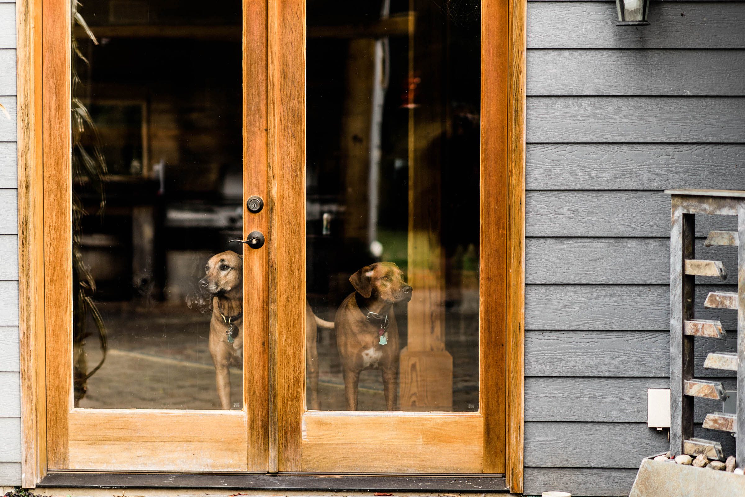 Romantic Whidbey Island weddings: Andrea and Rod (43)
