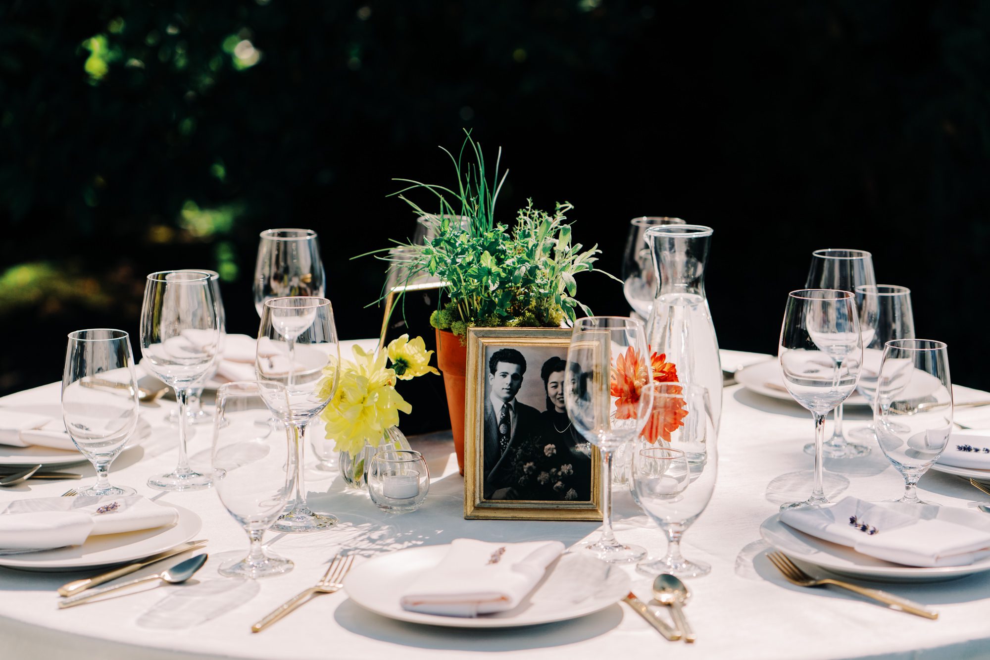 Tablescapes at Jen and Sage's wedding