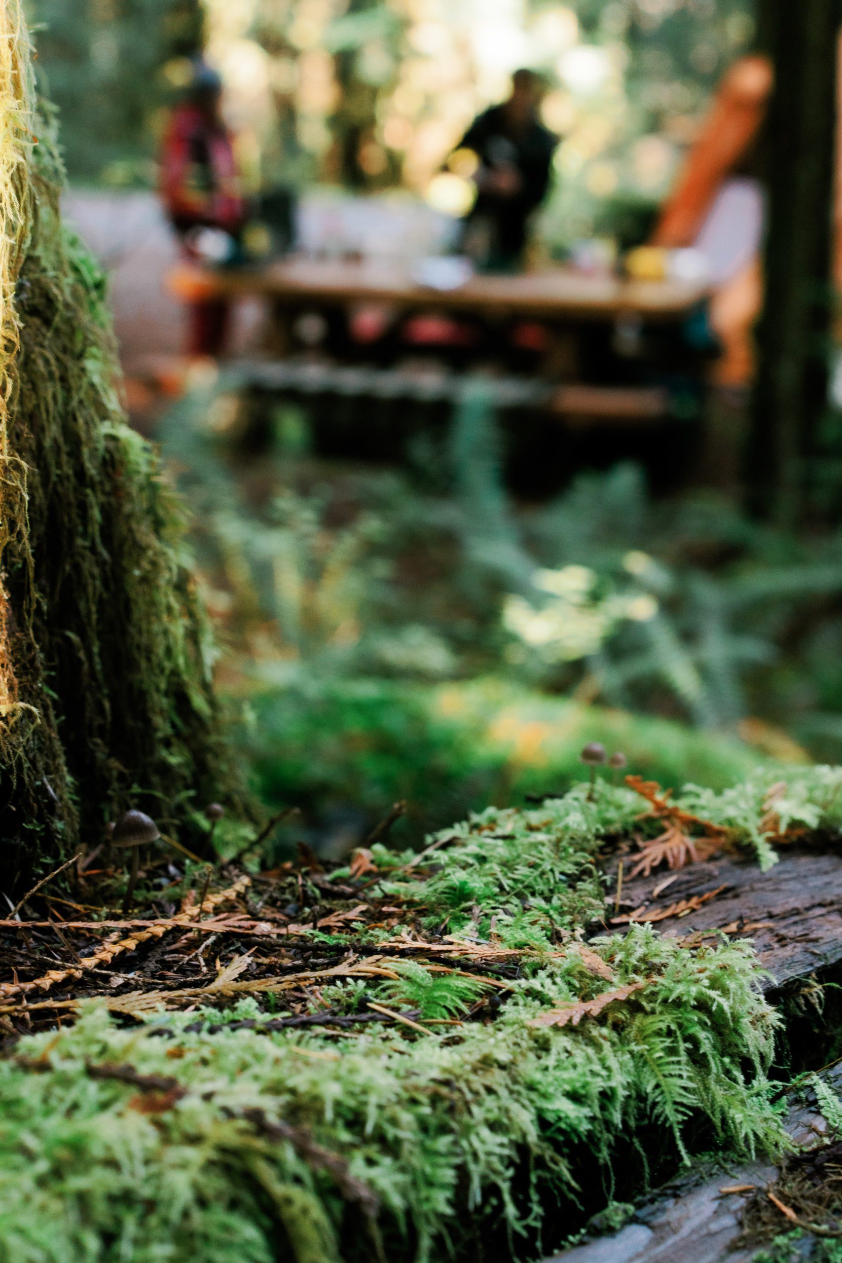 Seattle engagement photos: Veronica and Fletcher start breakfast