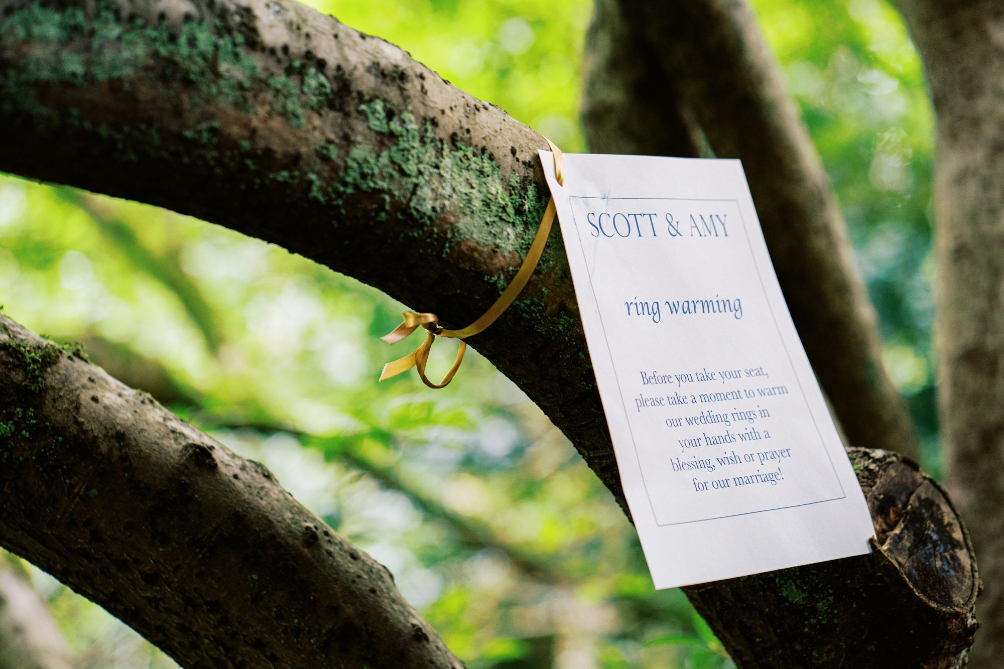 Cool wedding ideas: Ring blessing at ceremony Cool wedding ideas: Ring blessing at ceremony