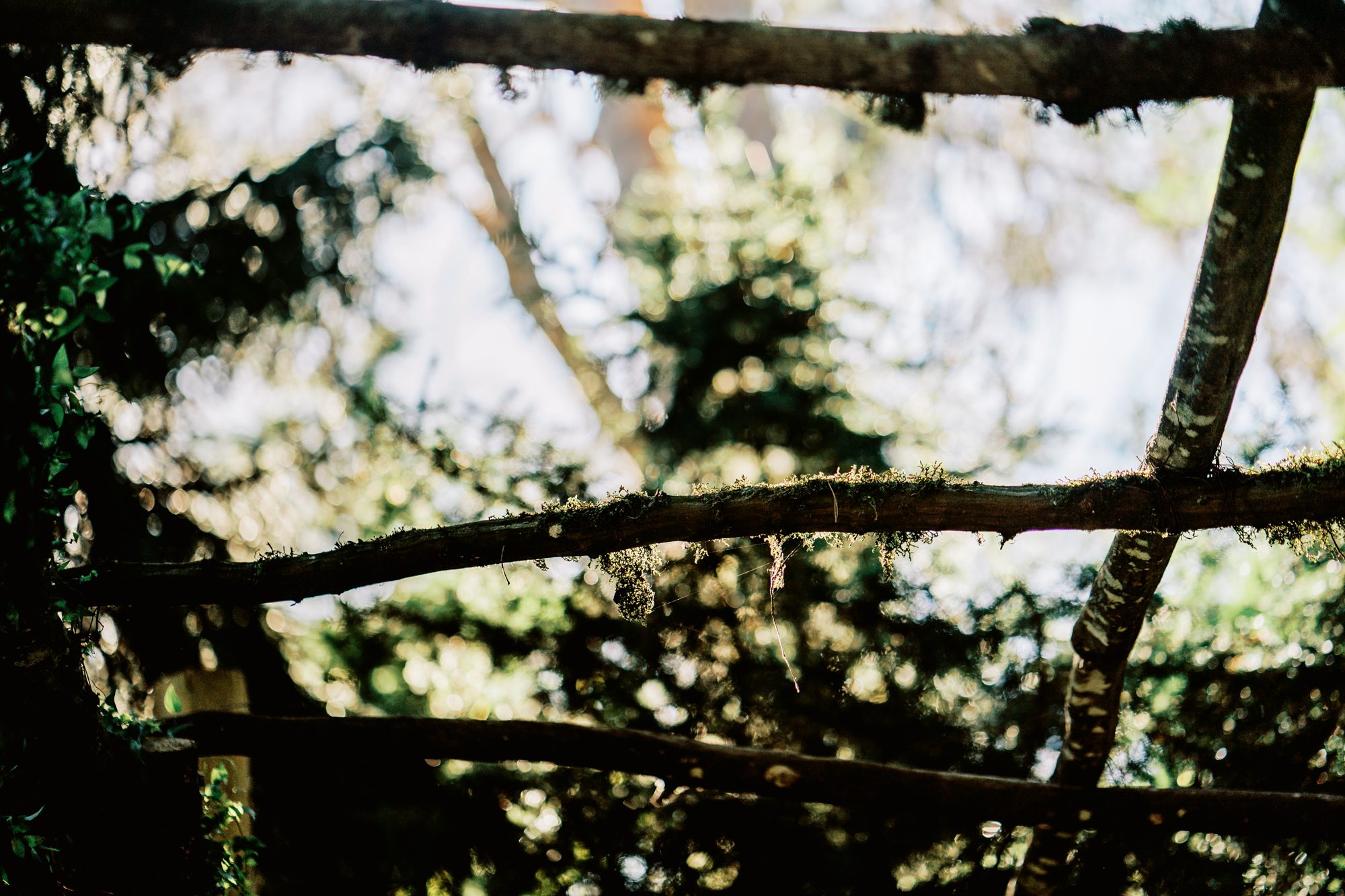 A Wedding at JM Cellars by Jenn Tai