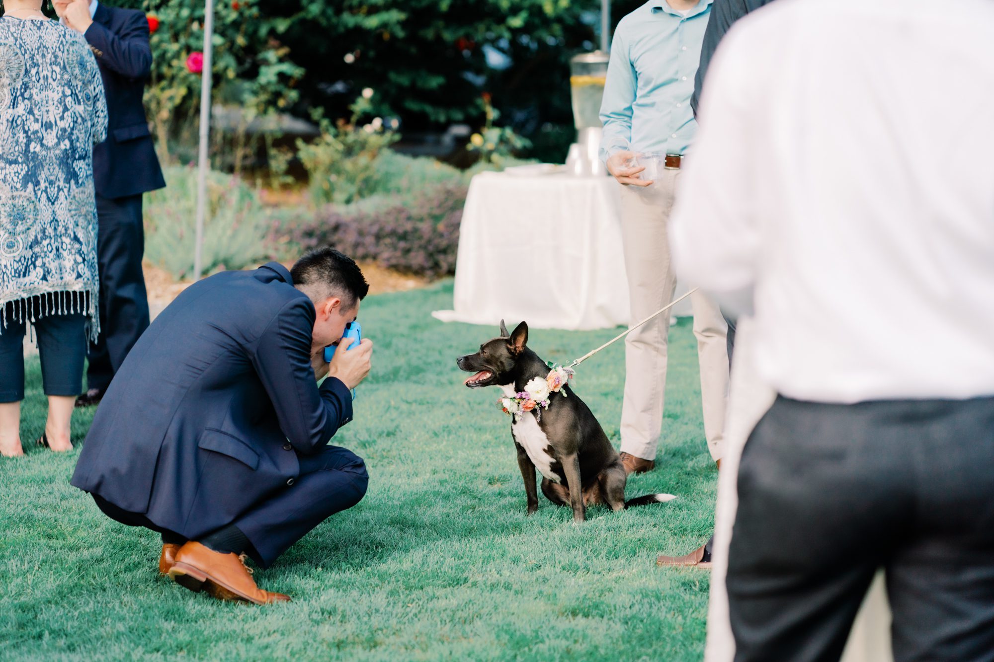Woodinville Lavender Farm weddings: Cocktail hour