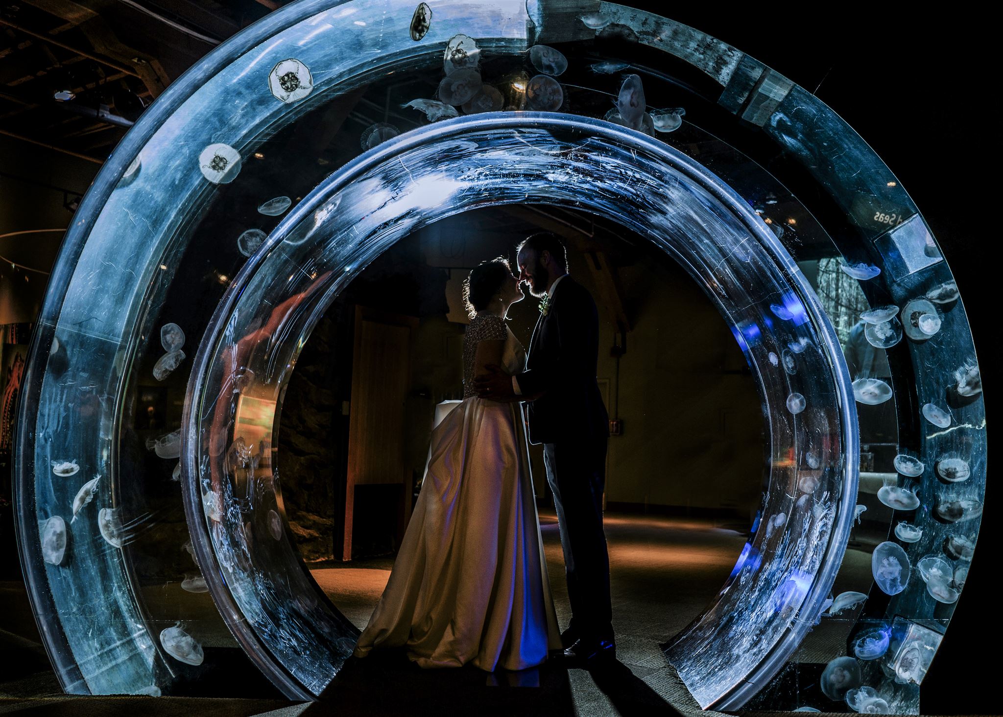 Ruth and David wedding portraits at the Seattle Aquarium