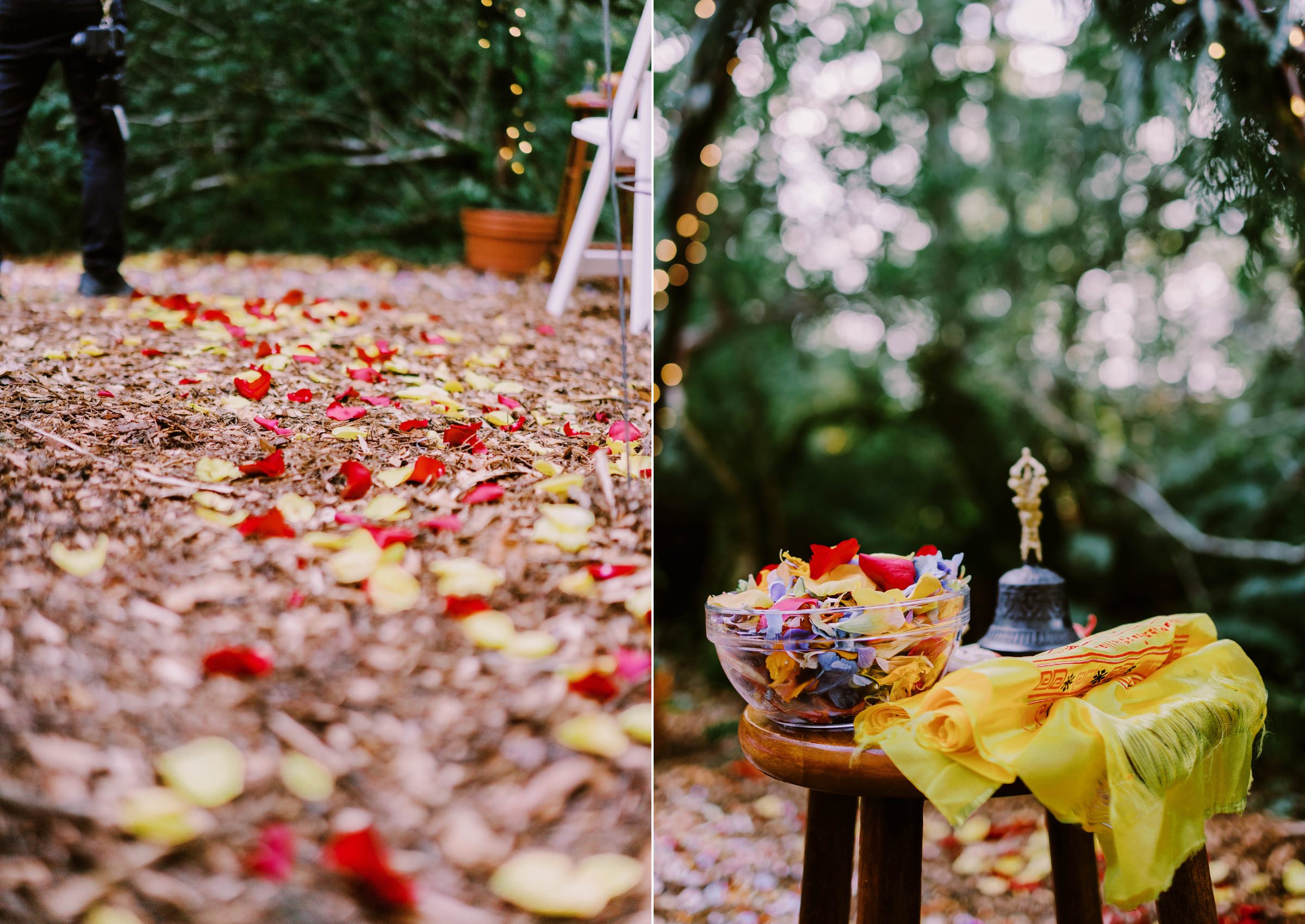 Annika and Sean's intimate backyard wedding in Duvall, WA