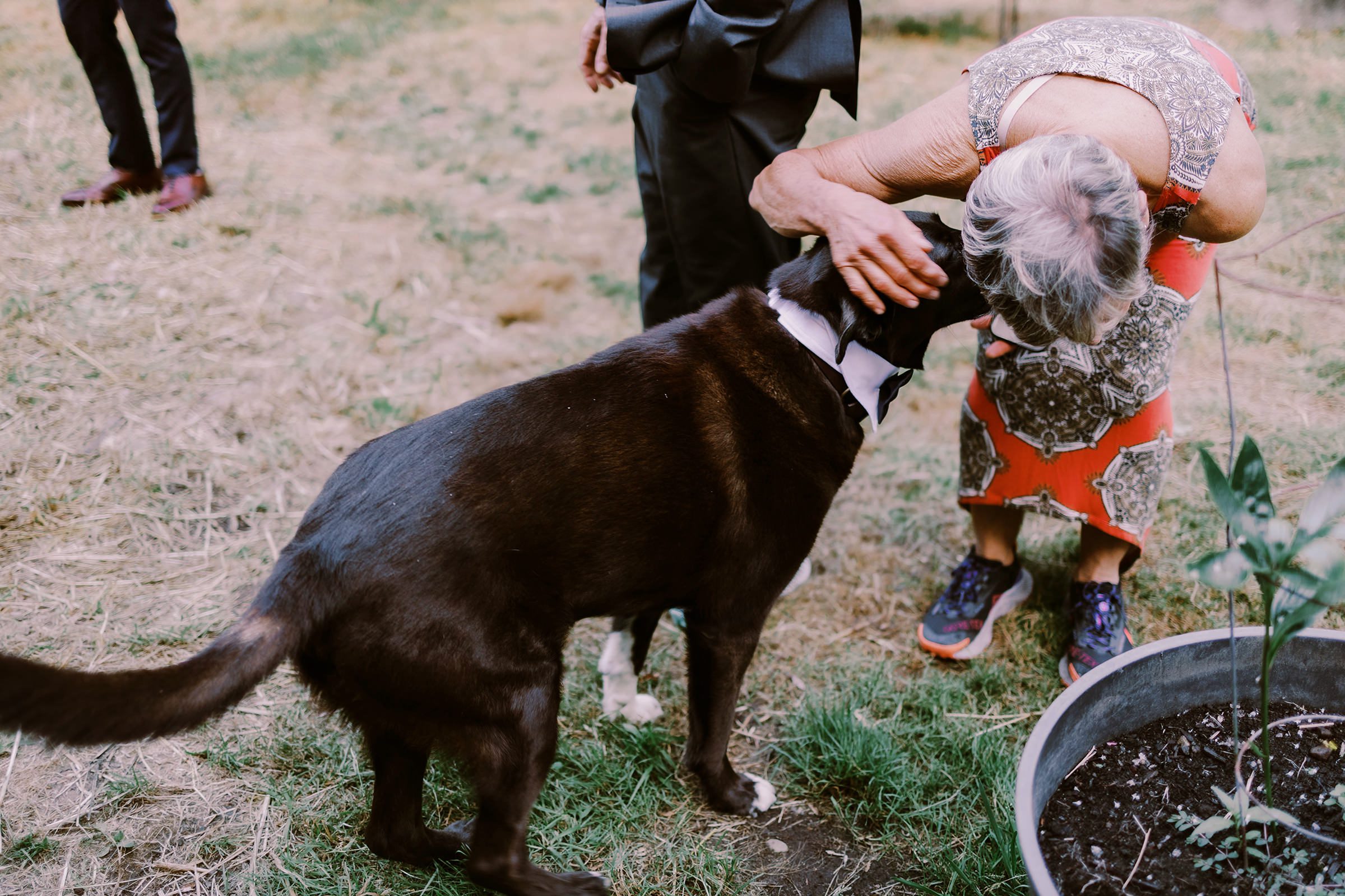 Annika's sweet doggo