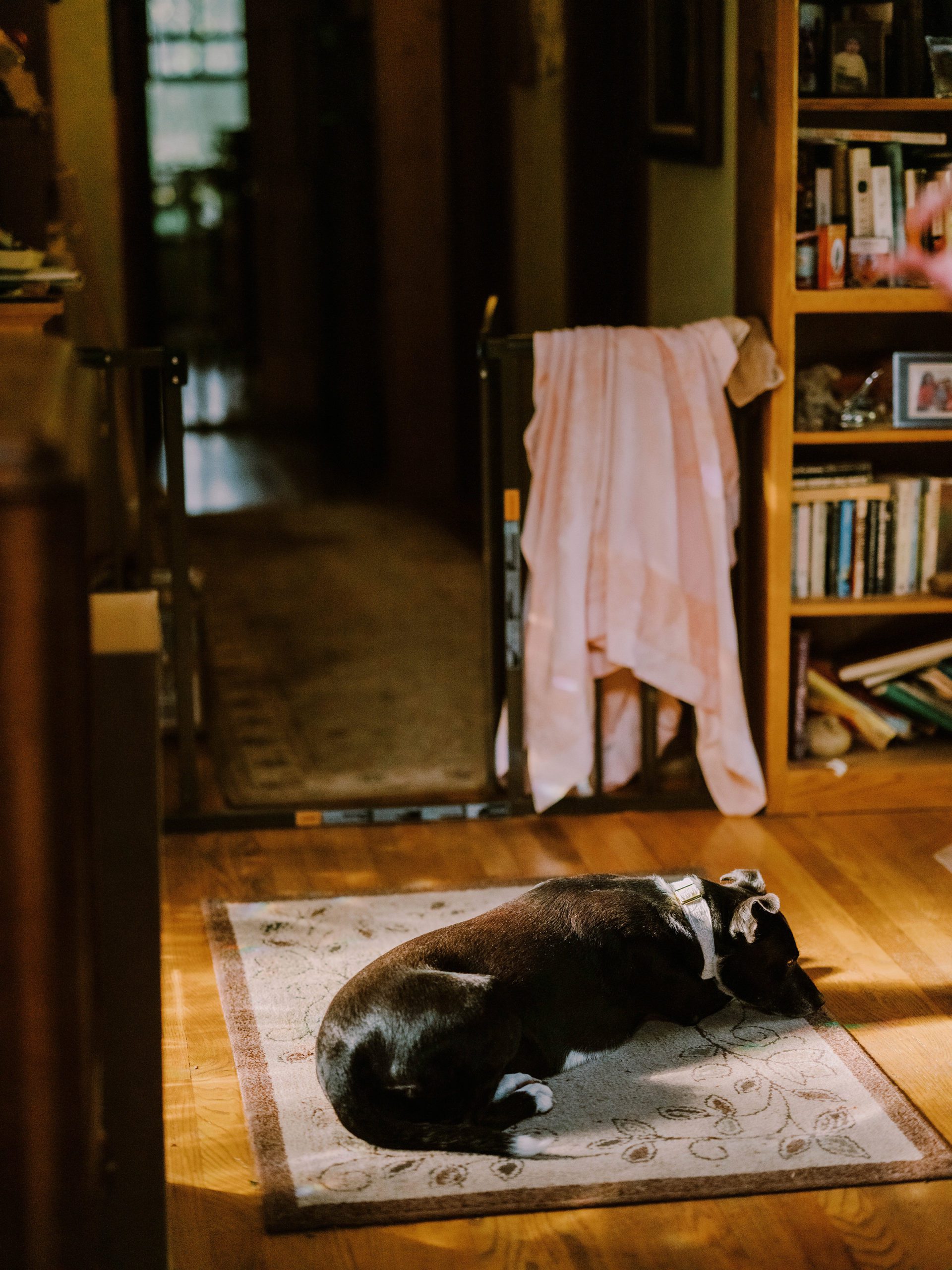 Annika's sweet doggo