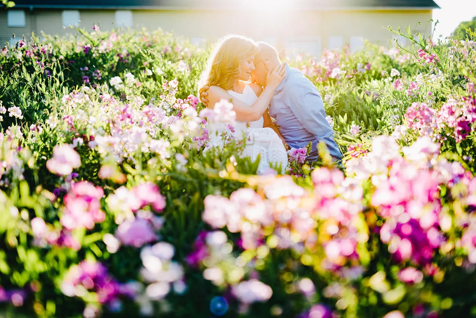Seattle engagement photos at Discovery Park in the summer A couple sits closely, embracing each other in a field of vibrant, pink and purple flowers, with sunlight shining in the background. Both are facing each other with their eyes closed, sharing an intimate moment. The scene is bathed in warm light. captured by Seattle Wedding Photographers Jenn Tai & Co